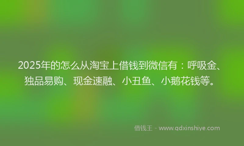 2025年的怎么从淘宝上借钱到微信有：呼吸金、独品易购、现金速融、小丑鱼、小鹅花钱等。