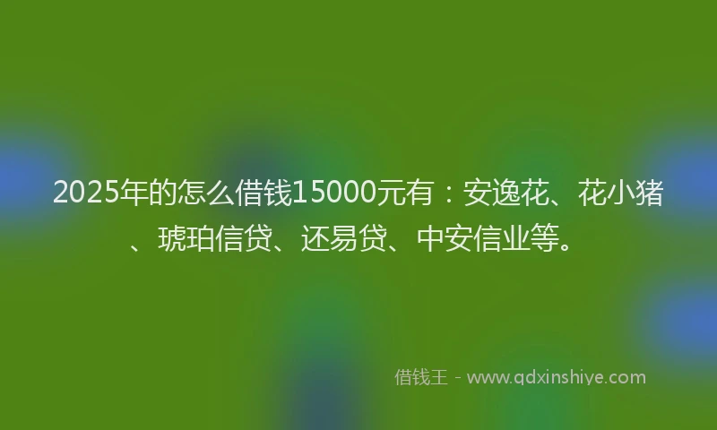 2025年的怎么借钱15000元有：安逸花、花小猪、琥珀信贷、还易贷、中安信业等。