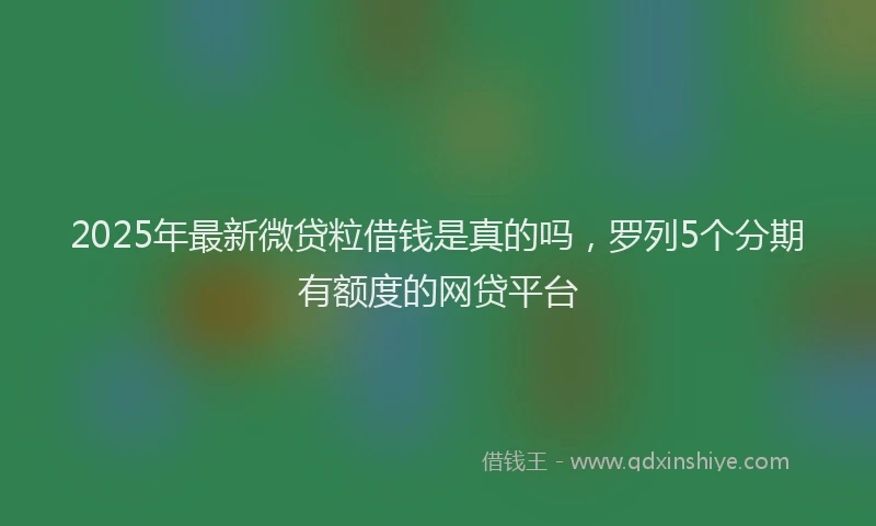 2025年最新微贷粒借钱是真的吗，罗列5个分期有额度的网贷平台