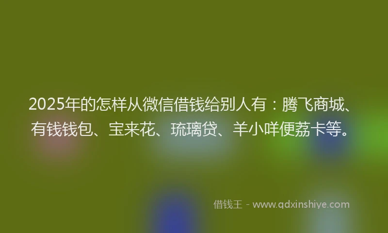 2025年的怎样从微信借钱给别人有：腾飞商城、有钱钱包、宝来花、琉璃贷、羊小咩便荔卡等。