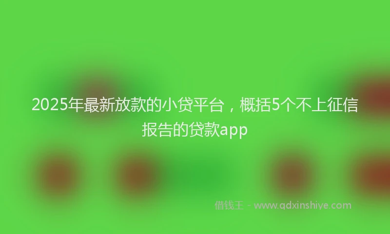 2025年最新放款的小贷平台，概括5个不上征信报告的贷款app