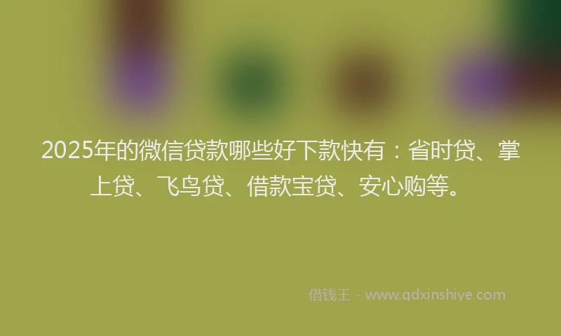 2025年的微信贷款哪些好下款快有：省时贷、掌上贷、飞鸟贷、借款宝贷、安心购等。