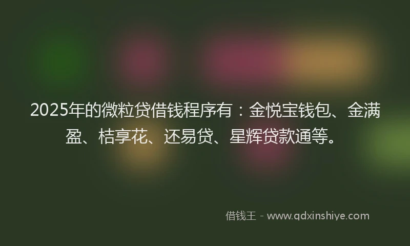 2025年的微粒贷借钱程序有：金悦宝钱包、金满盈、桔享花、还易贷、星辉贷款通等。