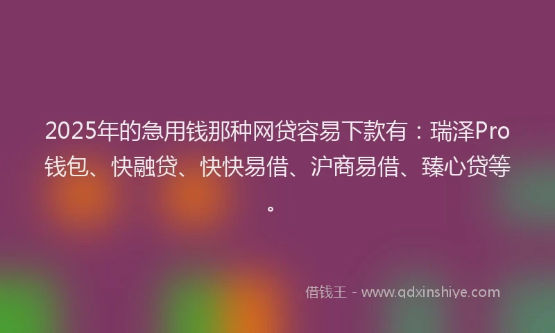 2025年的急用钱那种网贷容易下款有：瑞泽Pro钱包、快融贷、快快易借、沪商易借、臻心贷等。