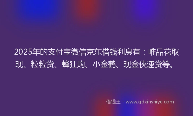 2025年的支付宝微信京东借钱利息有：唯品花取现、粒粒贷、蜂狂购、小金鹤、现金侠速贷等。