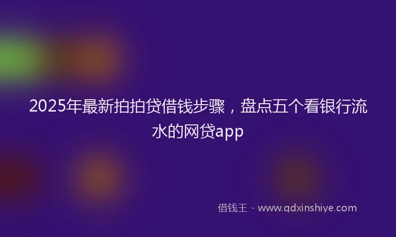 2025年最新拍拍贷借钱步骤，盘点五个看银行流水的网贷app