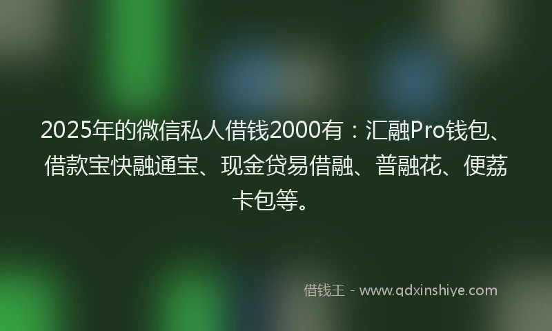 2025年的微信私人借钱2000有：汇融Pro钱包、借款宝快融通宝、现金贷易借融、普融花、便荔卡包等。