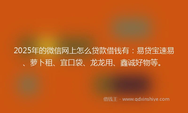 2025年的微信网上怎么贷款借钱有：易贷宝速易、萝卜租、宜口袋、龙龙用、鑫诚好物等。