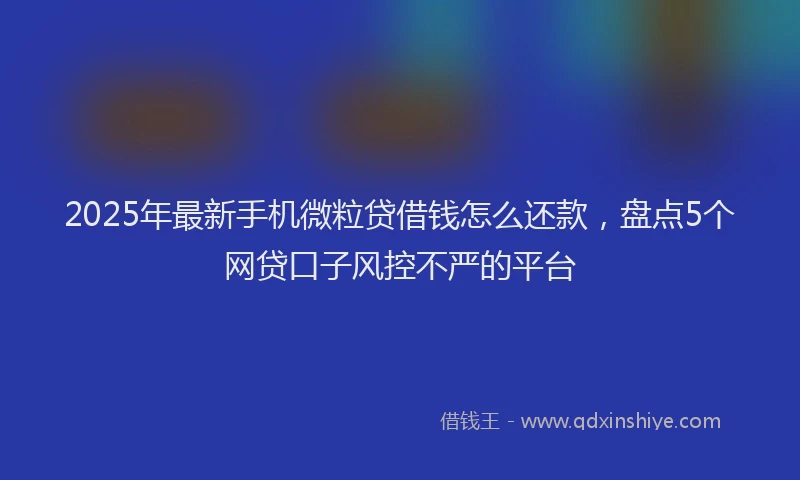 2025年最新手机微粒贷借钱怎么还款，盘点5个网贷口子风控不严的平台