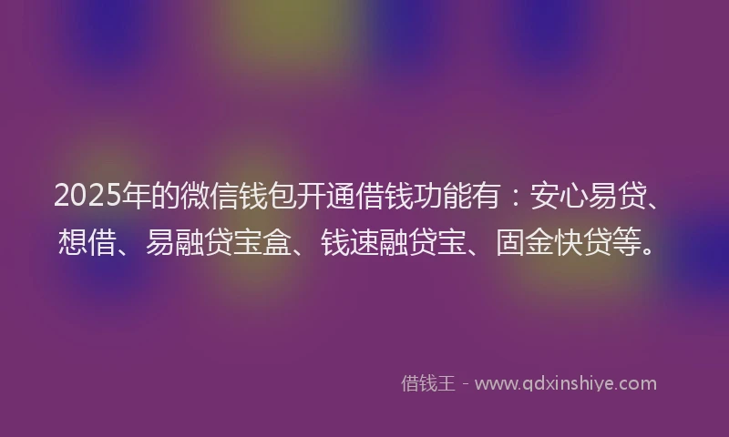 2025年的微信钱包开通借钱功能有：安心易贷、想借、易融贷宝盒、钱速融贷宝、固金快贷等。
