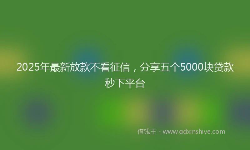 2025年最新放款不看征信，分享五个5000块贷款秒下平台