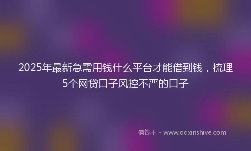 2025年最新急需用钱什么平台才能借到钱，梳理5个网贷口子风控不严的口子