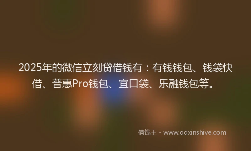 2025年的微信立刻贷借钱有：有钱钱包、钱袋快借、普惠Pro钱包、宜口袋、乐融钱包等。