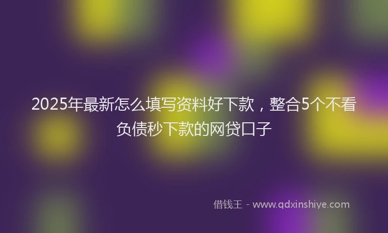 2025年最新怎么填写资料好下款，整合5个不看负债秒下款的网贷口子