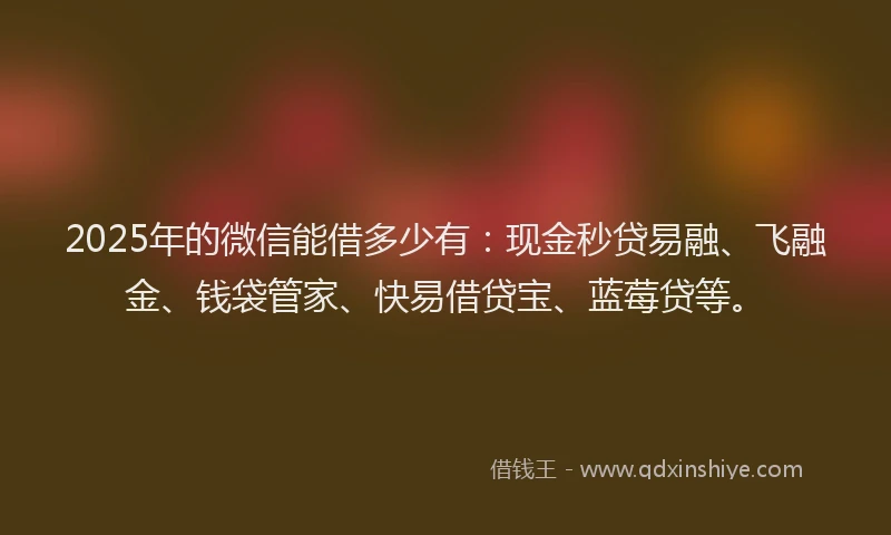 2025年的微信能借多少有：现金秒贷易融、飞融金、钱袋管家、快易借贷宝、蓝莓贷等。