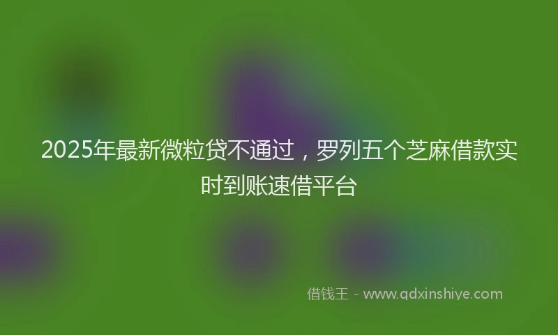 2025年最新微粒贷不通过，罗列五个芝麻借款实时到账速借平台