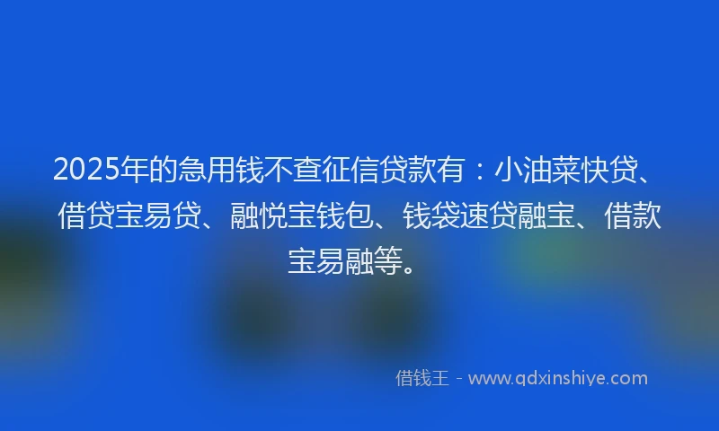 2025年的急用钱不查征信贷款有：小油菜快贷、借贷宝易贷、融悦宝钱包、钱袋速贷融宝、借款宝易融等。