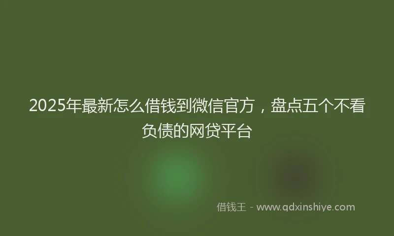 2025年最新怎么借钱到微信官方，盘点五个不看负债的网贷平台