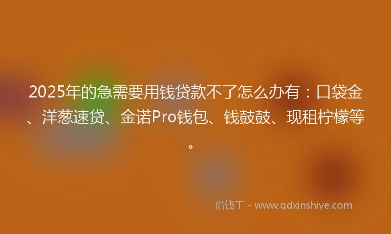 2025年的急需要用钱贷款不了怎么办有：口袋金、洋葱速贷、金诺Pro钱包、钱鼓鼓、现租柠檬等。