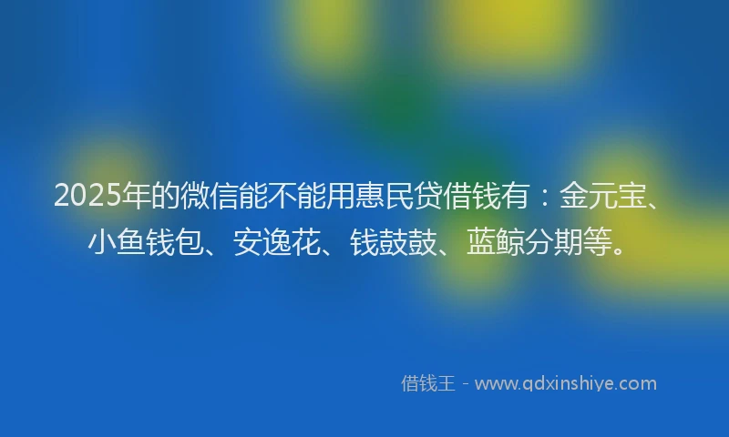 2025年的微信能不能用惠民贷借钱有：金元宝、小鱼钱包、安逸花、钱鼓鼓、蓝鲸分期等。
