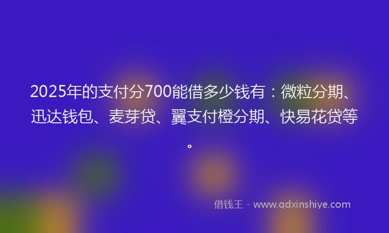 2025年的支付分700能借多少钱有：微粒分期、迅达钱包、麦芽贷、翼支付橙分期、快易花贷等。
