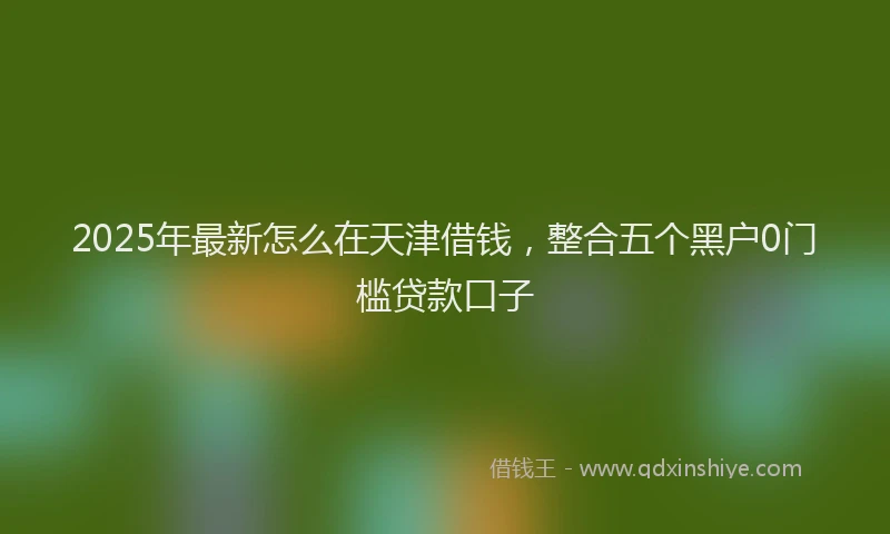 2025年最新怎么在天津借钱，整合五个黑户0门槛贷款口子
