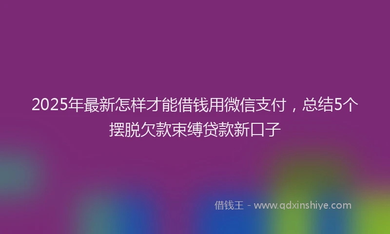 2025年最新怎样才能借钱用微信支付，总结5个摆脱欠款束缚贷款新口子