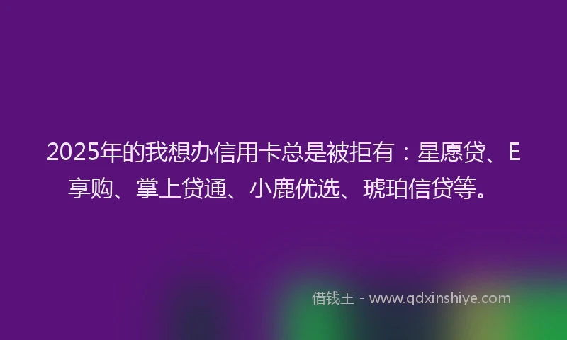 2025年的我想办信用卡总是被拒有：星愿贷、E享购、掌上贷通、小鹿优选、琥珀信贷等。