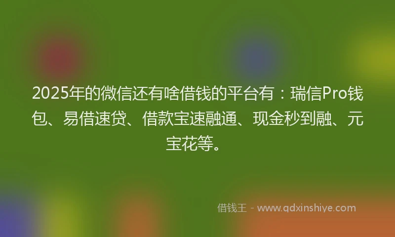 2025年的微信还有啥借钱的平台有：瑞信Pro钱包、易借速贷、借款宝速融通、现金秒到融、元宝花等。