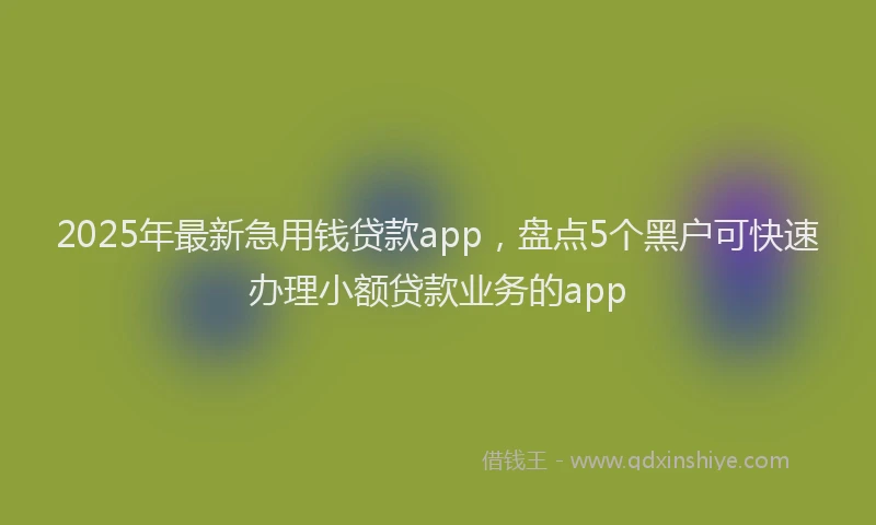 2025年最新急用钱贷款app，盘点5个黑户可快速办理小额贷款业务的app