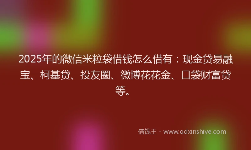 2025年的微信米粒袋借钱怎么借有：现金贷易融宝、柯基贷、投友圈、微博花花金、口袋财富贷等。