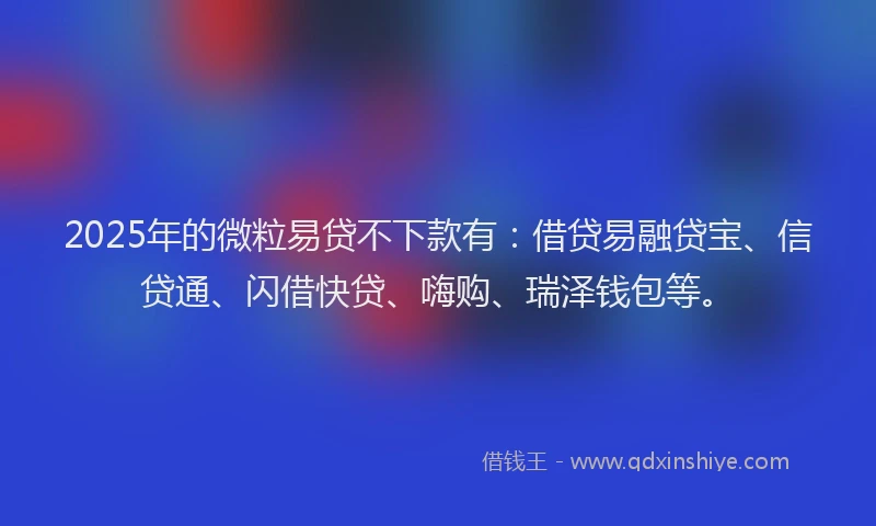 2025年的微粒易贷不下款有：借贷易融贷宝、信贷通、闪借快贷、嗨购、瑞泽钱包等。