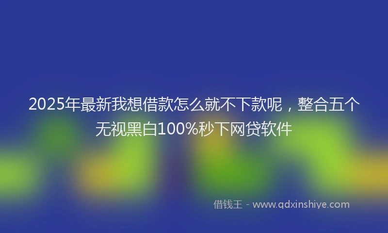 2025年最新我想借款怎么就不下款呢，整合五个无视黑白100%秒下网贷软件