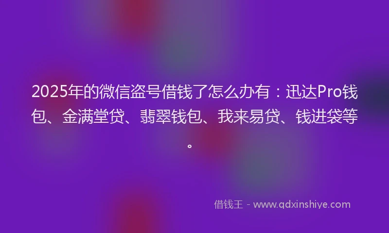 2025年的微信盗号借钱了怎么办有：迅达Pro钱包、金满堂贷、翡翠钱包、我来易贷、钱进袋等。