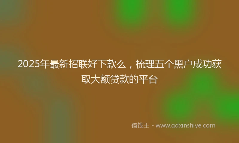 2025年最新招联好下款么，梳理五个黑户成功获取大额贷款的平台