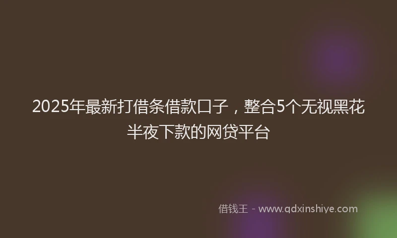2025年最新打借条借款口子，整合5个无视黑花半夜下款的网贷平台