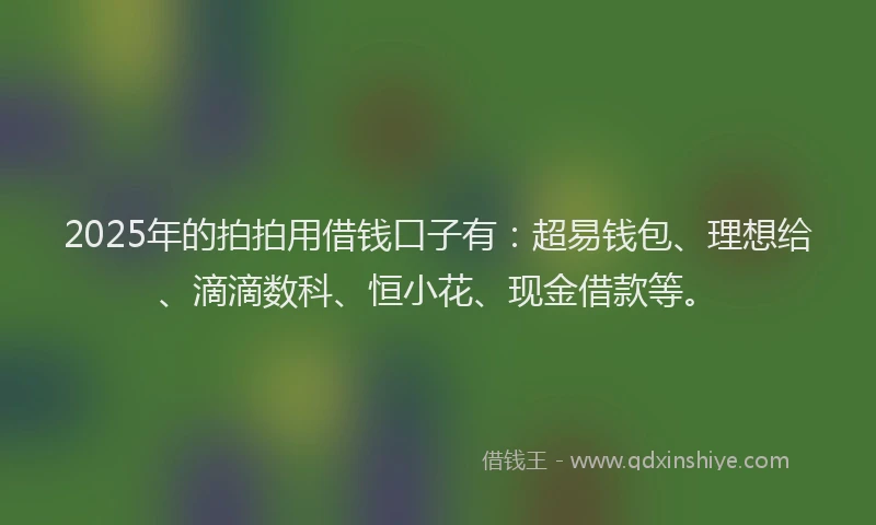 2025年的拍拍用借钱口子有：超易钱包、理想给、滴滴数科、恒小花、现金借款等。