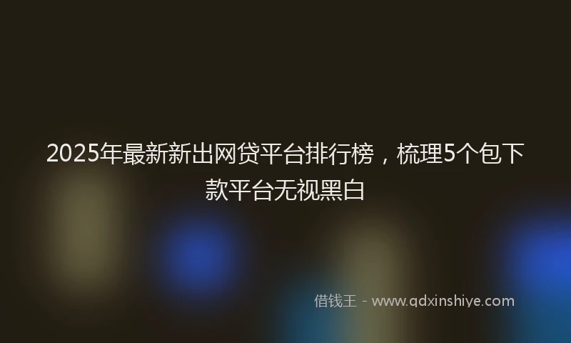 2025年最新新出网贷平台排行榜，梳理5个包下款平台无视黑白