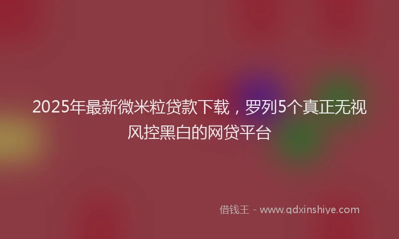 2025年最新微米粒贷款下载，罗列5个真正无视风控黑白的网贷平台
