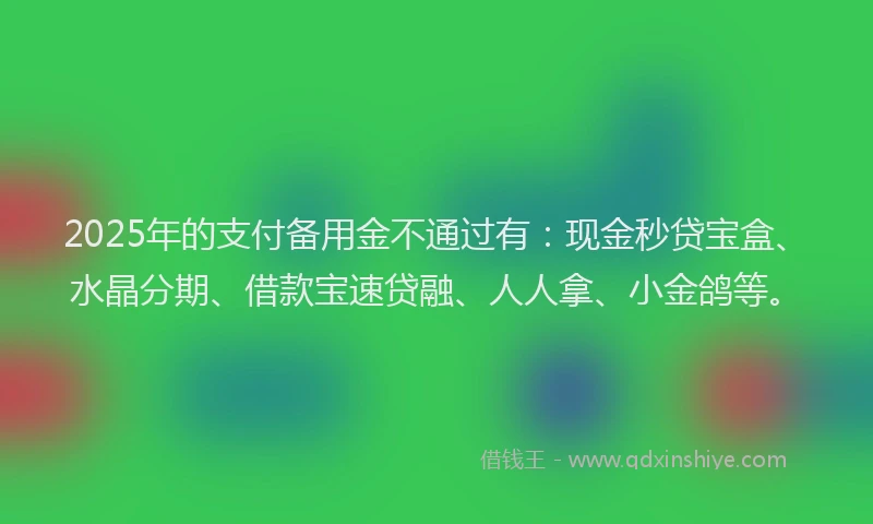 2025年的支付备用金不通过有：现金秒贷宝盒、水晶分期、借款宝速贷融、人人拿、小金鸽等。