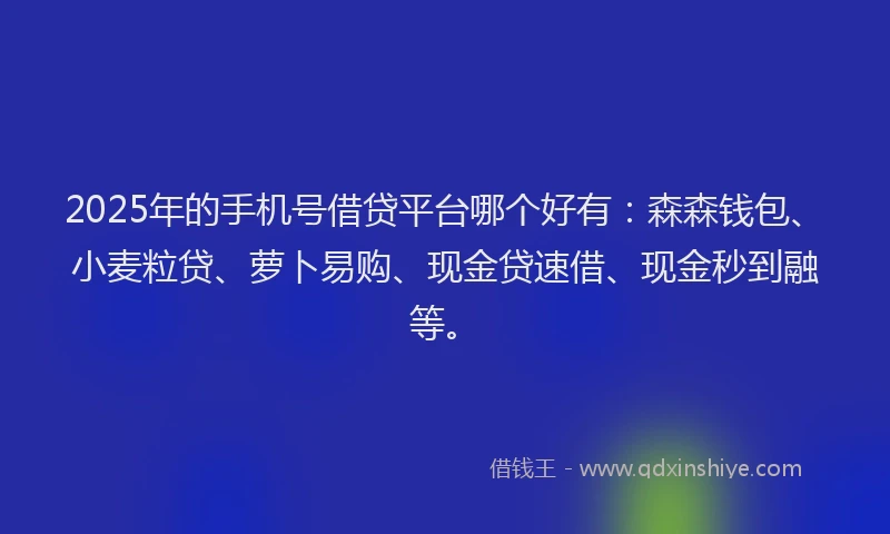 2025年的手机号借贷平台哪个好有：森森钱包、小麦粒贷、萝卜易购、现金贷速借、现金秒到融等。