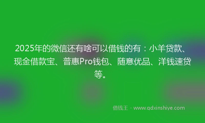 2025年的微信还有啥可以借钱的有：小羊贷款、现金借款宝、普惠Pro钱包、随意优品、洋钱速贷等。