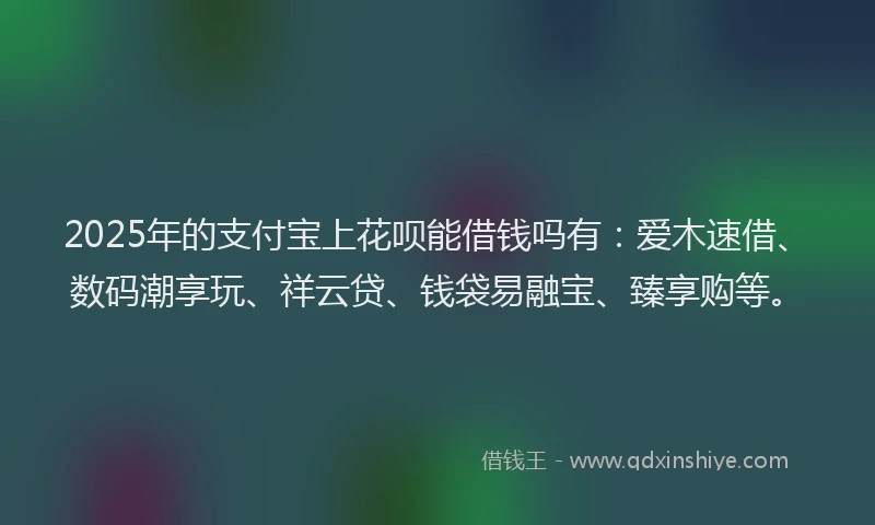 2025年的支付宝上花呗能借钱吗有：爱木速借、数码潮享玩、祥云贷、钱袋易融宝、臻享购等。