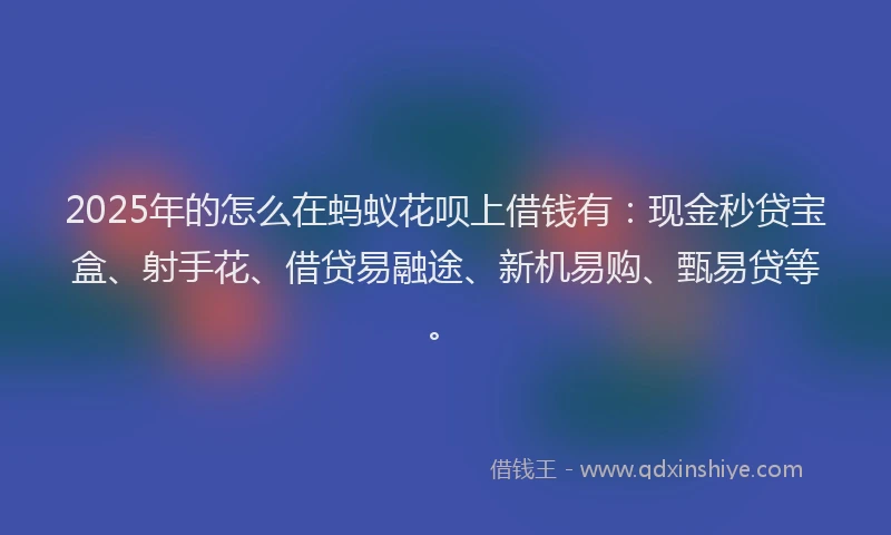 2025年的怎么在蚂蚁花呗上借钱有：现金秒贷宝盒、射手花、借贷易融途、新机易购、甄易贷等。