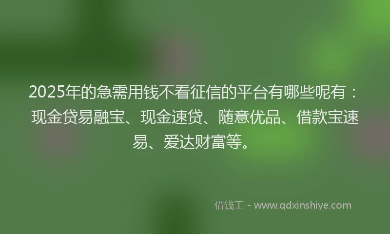 2025年的急需用钱不看征信的平台有哪些呢有：现金贷易融宝、现金速贷、随意优品、借款宝速易、爱达财富等。