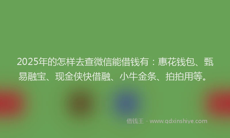 2025年的怎样去查微信能借钱有：惠花钱包、甄易融宝、现金侠快借融、小牛金条、拍拍用等。
