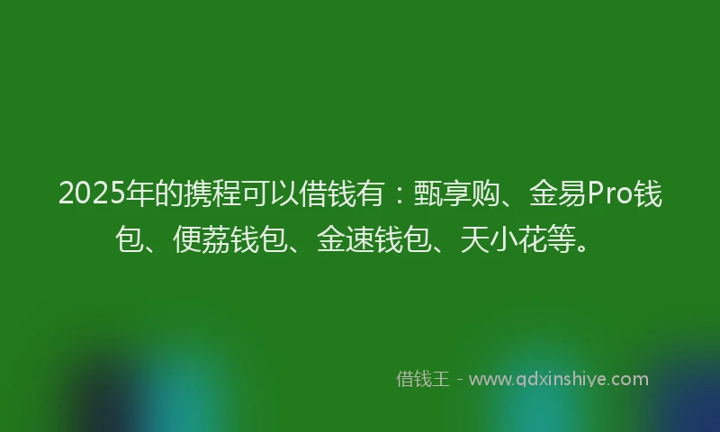 2025年的携程可以借钱有：甄享购、金易Pro钱包、便荔钱包、金速钱包、天小花等。