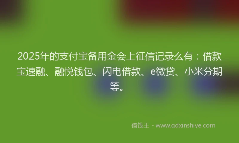 2025年的支付宝备用金会上征信记录么有：借款宝速融、融悦钱包、闪电借款、e微贷、小米分期等。