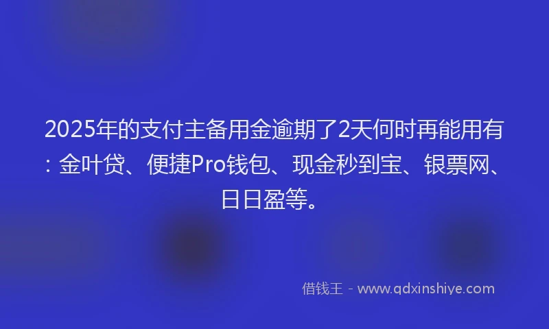 2025年的支付主备用金逾期了2天何时再能用有：金叶贷、便捷Pro钱包、现金秒到宝、银票网、日日盈等。