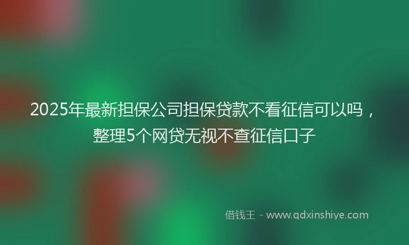 2025年最新担保公司担保贷款不看征信可以吗，整理5个网贷无视不查征信口子